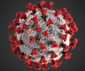 Coronavirus